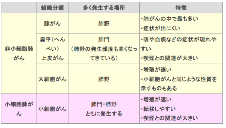 肺がんとは 北青山dクリニック