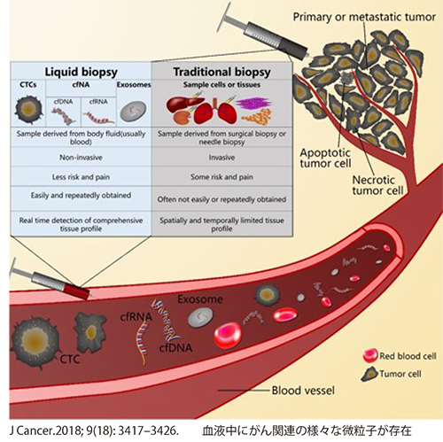 血液中のがん関連の微粒子