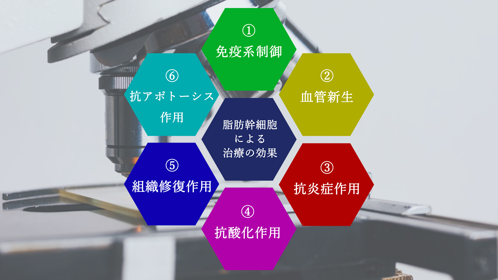 治療効果図 治療効果図