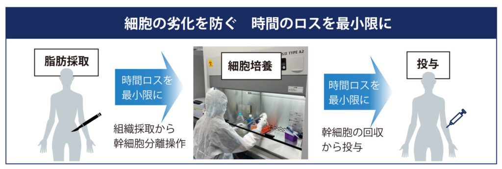 「組織採取から幹細胞分離操作まで」および「培養増殖した幹細胞の回収から投与まで」のロス時間を防ぎ細胞の劣化を抑える
