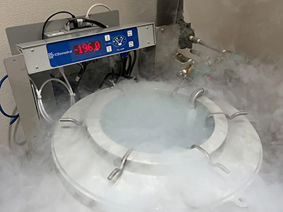 細胞を超低温で長期保管可能な液体窒素(−196℃)